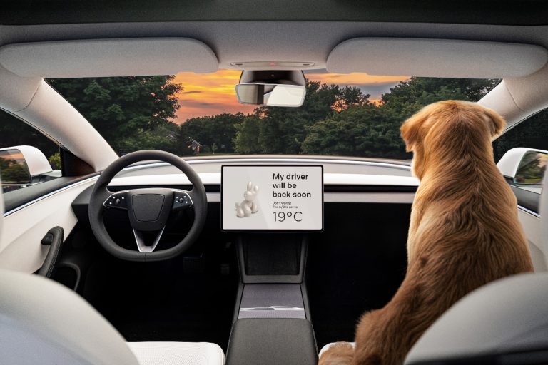 Freire Neto comenta a queda nas Vendas da Tesla